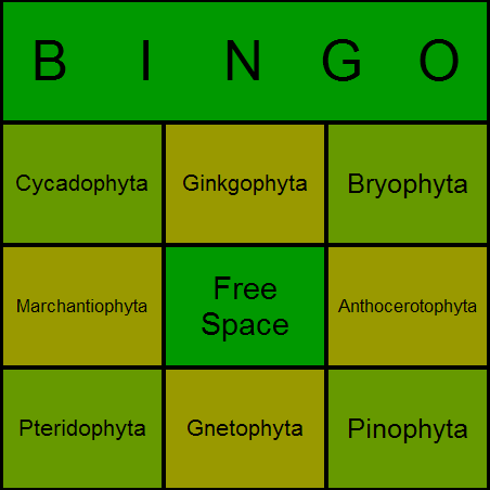 Plant Divisions Bingo Card